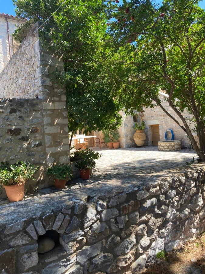 Apartamento Mani Spot -cereus
