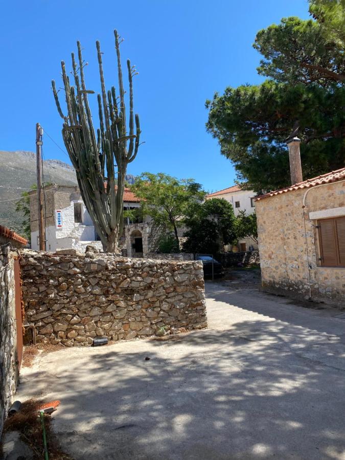 Appartement Mani Spot -cereus *