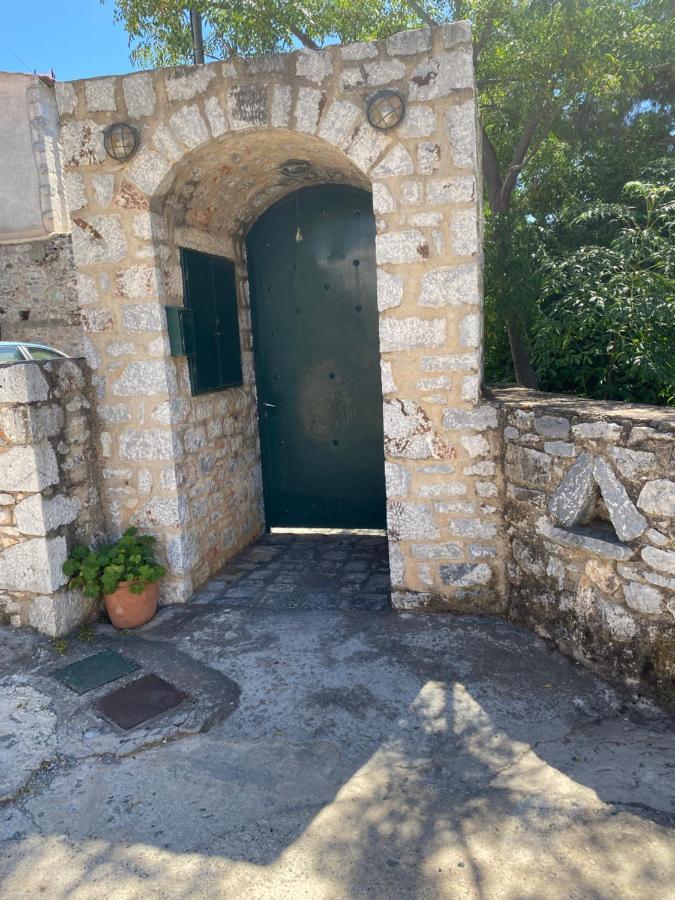 Appartement Mani Spot -cereus