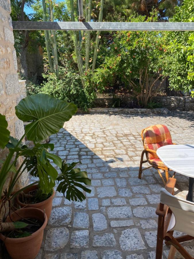 Appartement Mani Spot -cereus *